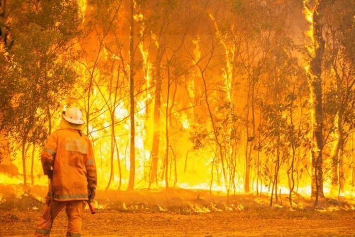 Supporting Bushfire Relief